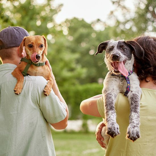 An image of two men holding dogs