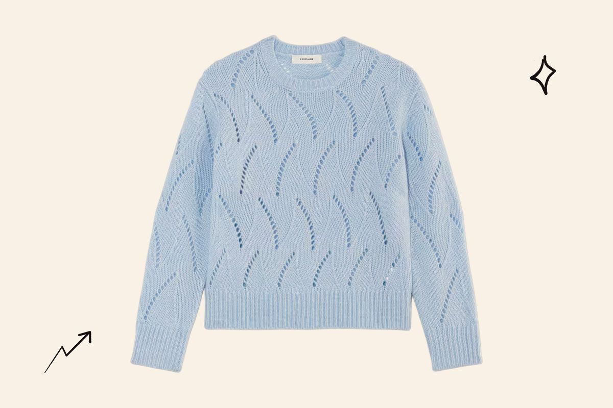 An image of the Everlane Pointelle sweater