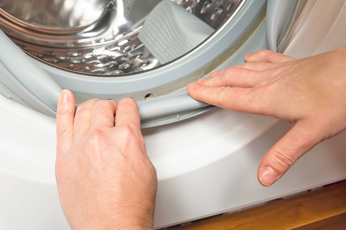 Checking washing machine gasket