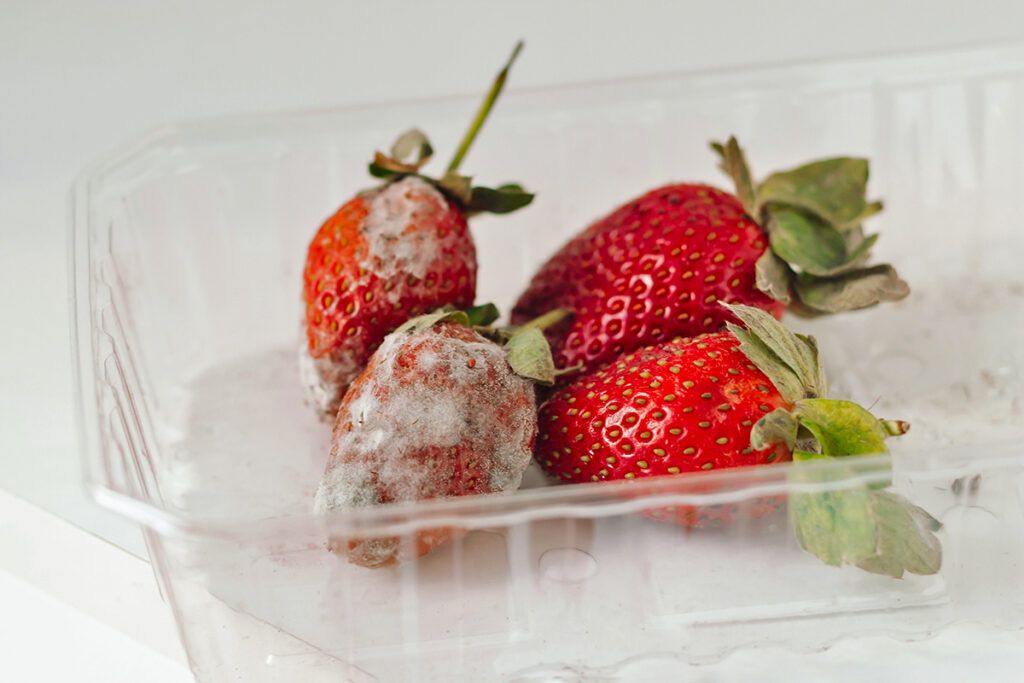 Moldy strawberries