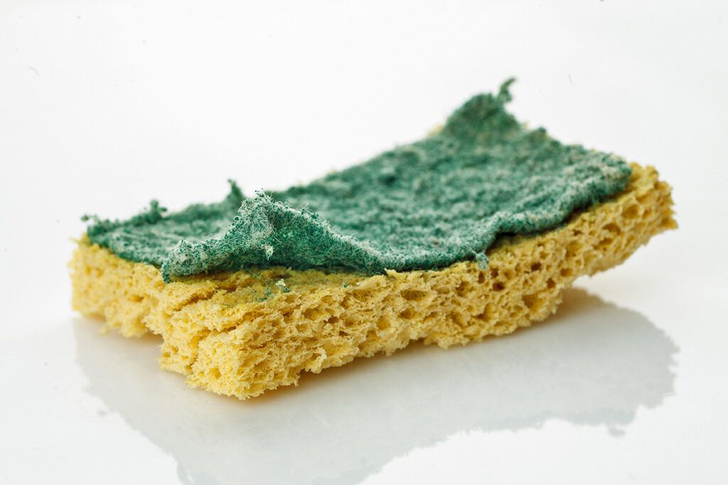 Old sponge