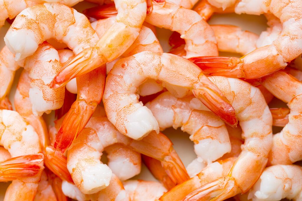 Shrimp