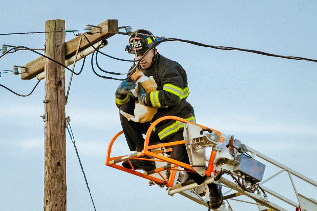 Firefighter rescuing cat
