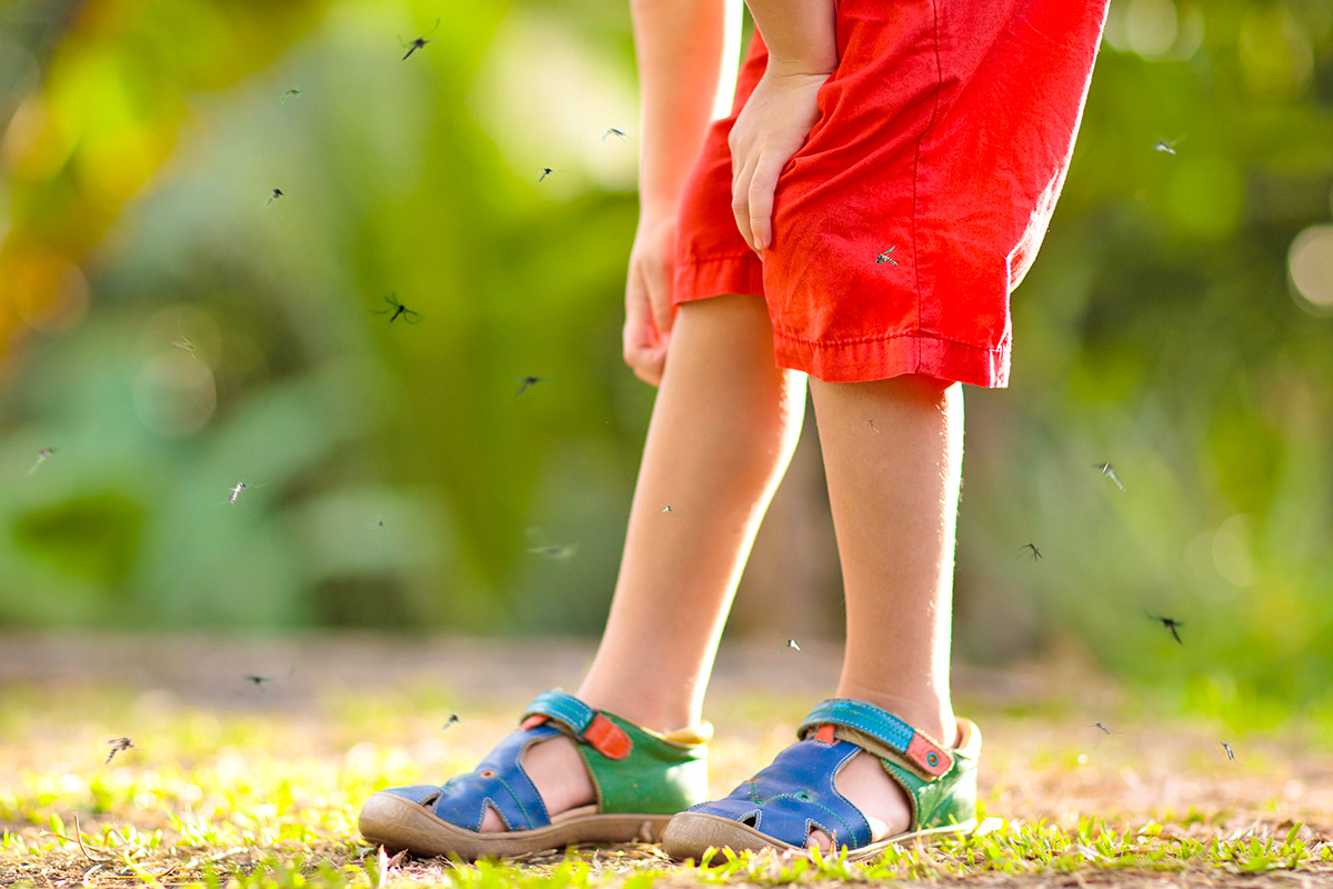 Legs with bugs flying around