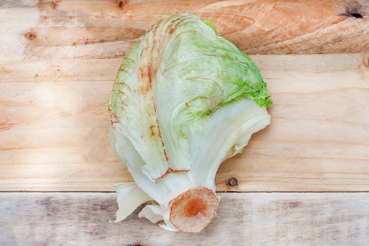 Rusty lettuce on a cutting board