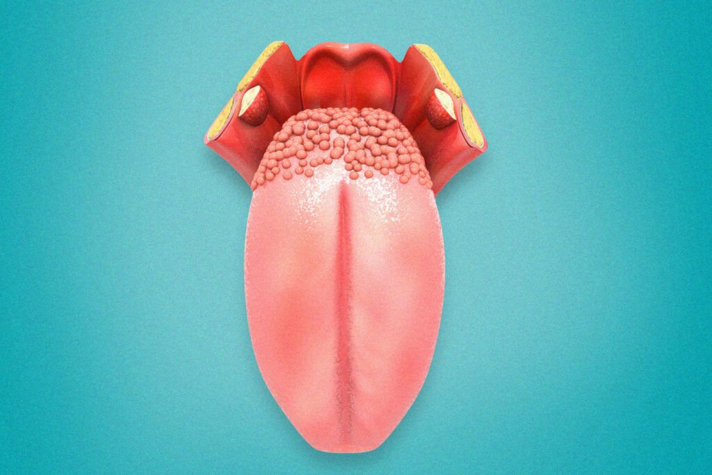 Illustration of tongue