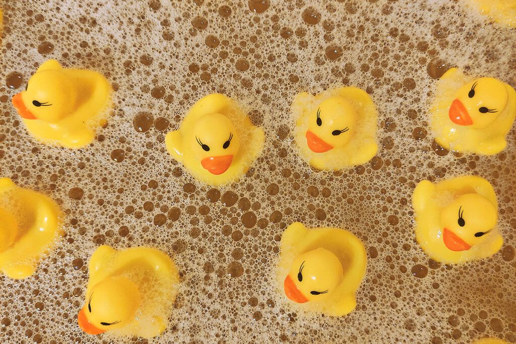Rubber ducks in water from above