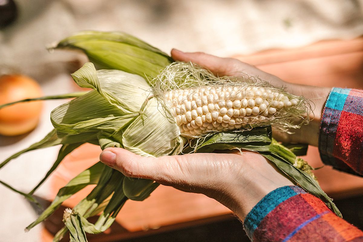 Corn on the cob